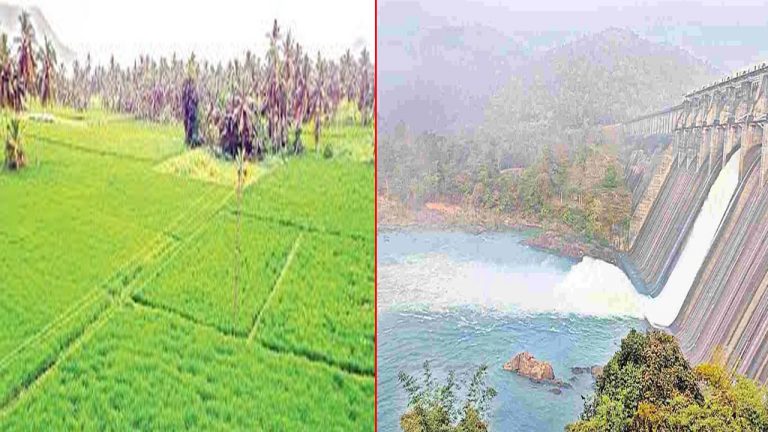 Godavari: రబీ పంటకు జీవం పోస్తున్న సీలేరు జలాలు..