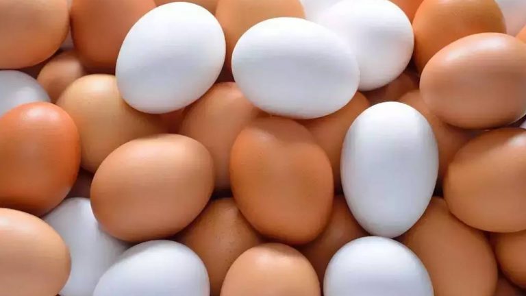 Egg Price Hikes In US: మండుతున్న గుడ్ల ధరలు.. డజను గుడ్ల ధర రూ. 870