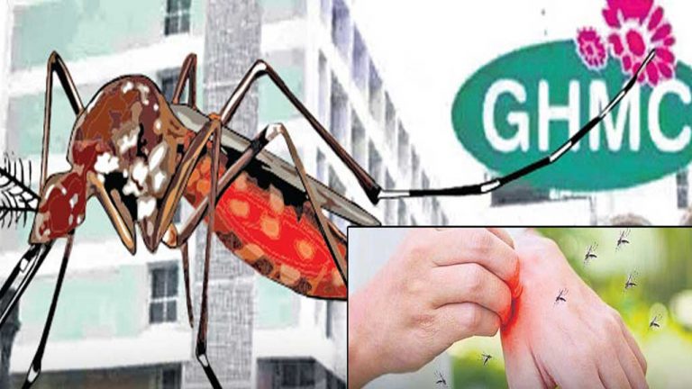 GHMC: దోమల బెడద అధికంగా ఉందా? ఒక్క క్లిక్ చేయండి.. జీహెచ్‌ఎంసీ చూసుకుంటుంది..