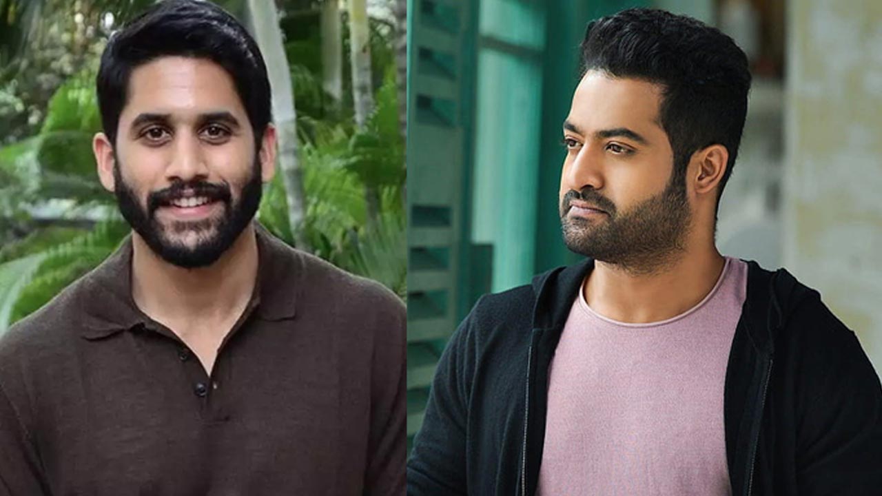 JR NTR : నాగచైత్య రెస్టారెంట్ పై ఎన్టీఆర్ ఆసక్తికర కామెంట్స్