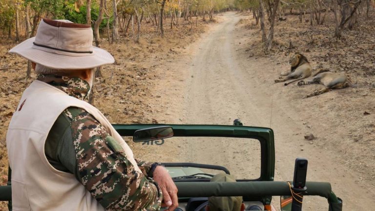 World Wildlife Day: గుజరాత్‌లోని గిర్ అడవుల్లో మోడీ సఫారీ.. ప్రకృతిని కాపాడాలని పిలుపు