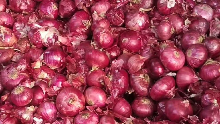 Onion Exports: ఉల్లిపాయల ఎగుమతిపై సుంకాన్ని తొలగించిన కేంద్రం..