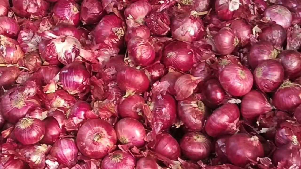 Centre Withdraws 20% Obligation On Onion Exports, To Be Efficient From April 1