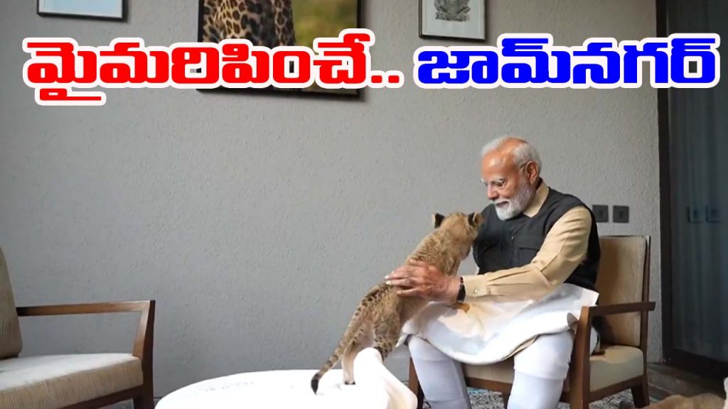 Pmmodi