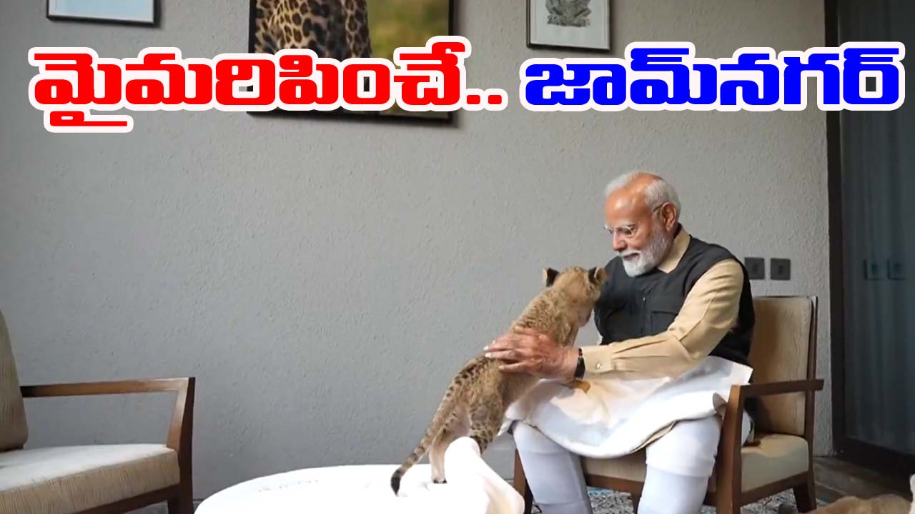 PM Modi: జామ్‌నగర్ ఫారెస్ట్ వీడియో పోస్ట్ చేసిన మోడీ.. కనువిందు చేస్తున్న జంతువులు