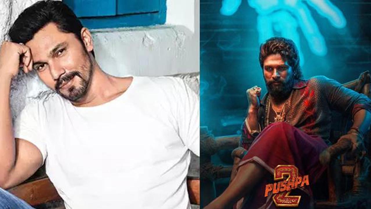 Pushpa2 : పుష్ప సినిమా చూసి బాలీవుడ్ నేర్చుకోవాలి.. స్టార్ యాక్టర్ కామెంట్స్