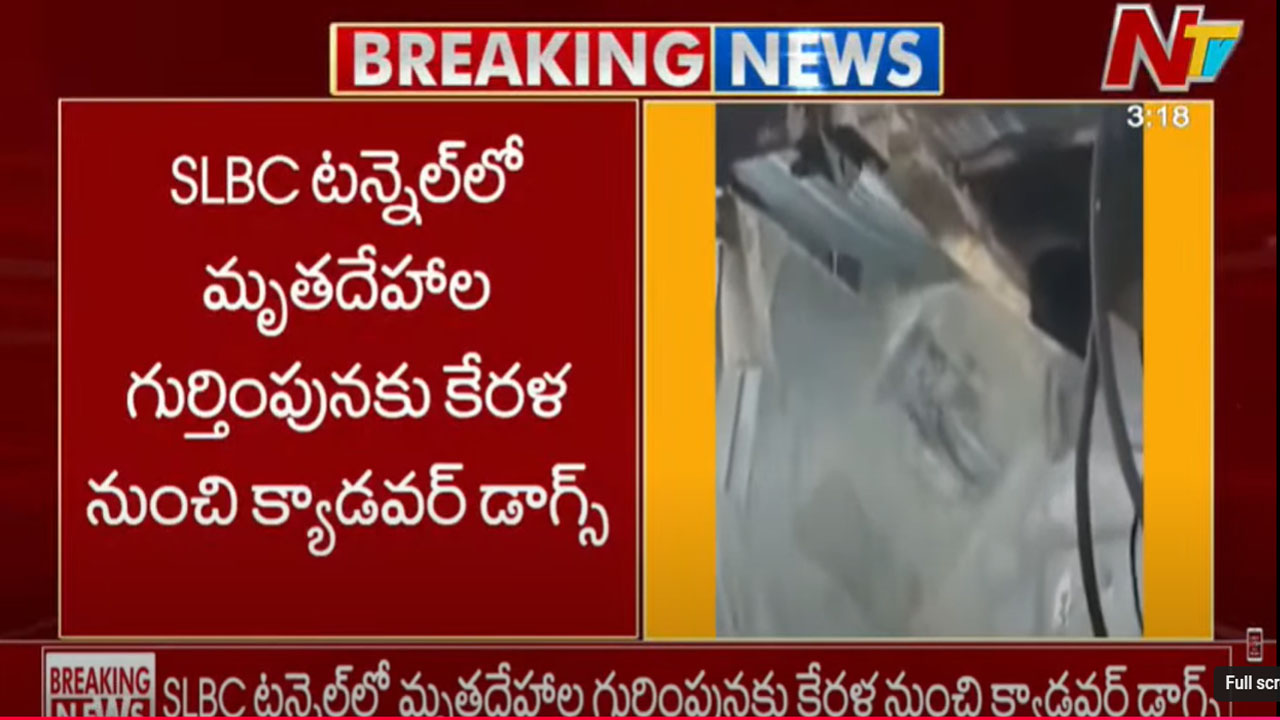 SLBC Tunnel Accident: మృతదేహాలను గుర్తించేందుకు కేరళ నుంచి క్యాడవర్ డాగ్స్..