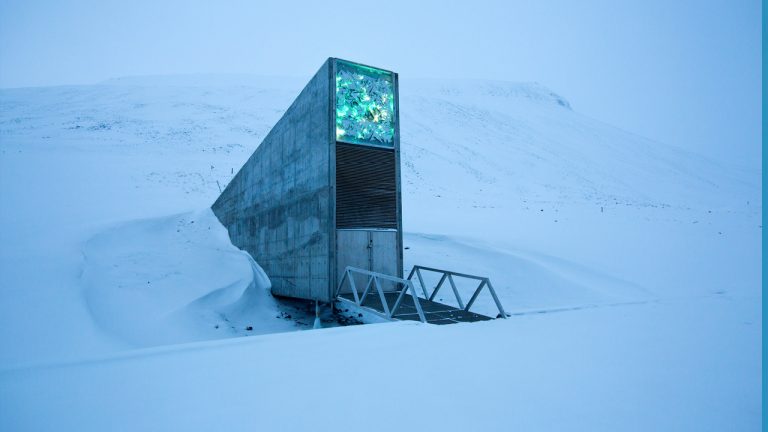 Svalbard Seed Vault : మానవాళి ఆహార భద్రతకు అగ్రగామి స్వాల్బార్డ్ సీడ్ వాల్ట్.. డూమ్స్‌డే వాల్ట్ గురించి మీకు తెలుసా..?