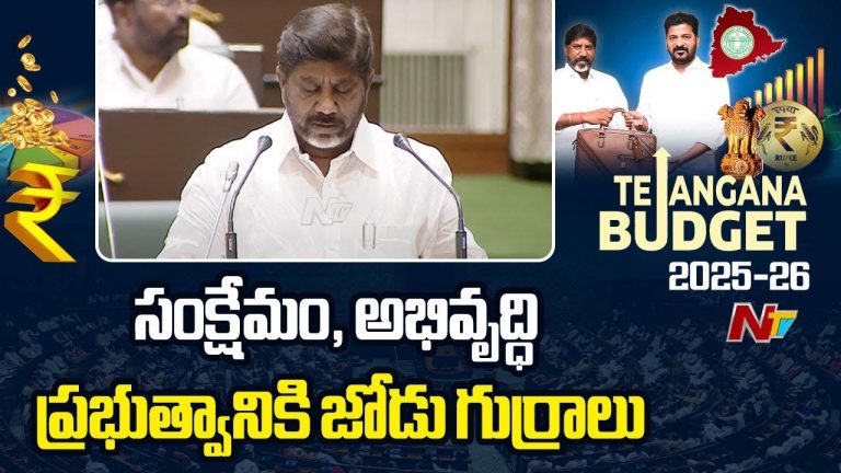 Telangana Budget 2025: మంత్రిత్వ శాఖల వారీగా ఏ శాఖకు ఎంత కేటాయించారంటే?