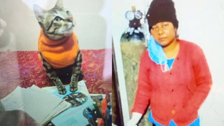 Uttar Pradesh: పెంపుడు పిల్లి మరణంతో కుంగిపోయి.. తిరిగి బ్రతికి వస్తుందన్న ఆశతో చూసి.. చివరకు