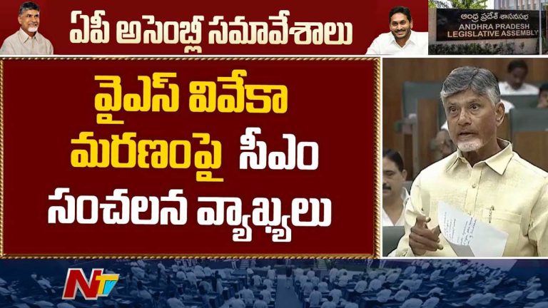 CM Chandrababau: వైఎస్ వివేక మరణంపై సీఎం సంచలన వ్యాఖ్యలు..