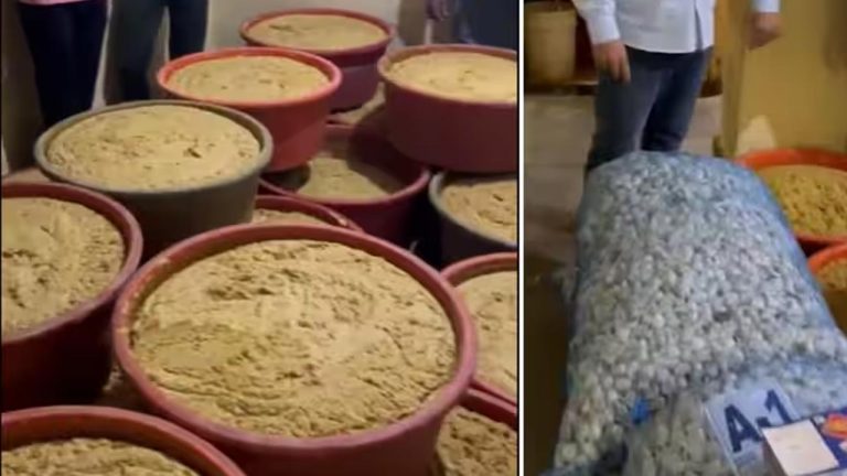 Garlic Ginger Paste : మరోసారి బయటపడ్డ కల్తీ అల్లంవెల్లుల్లి పేస్ట్ ముఠా గుట్టు