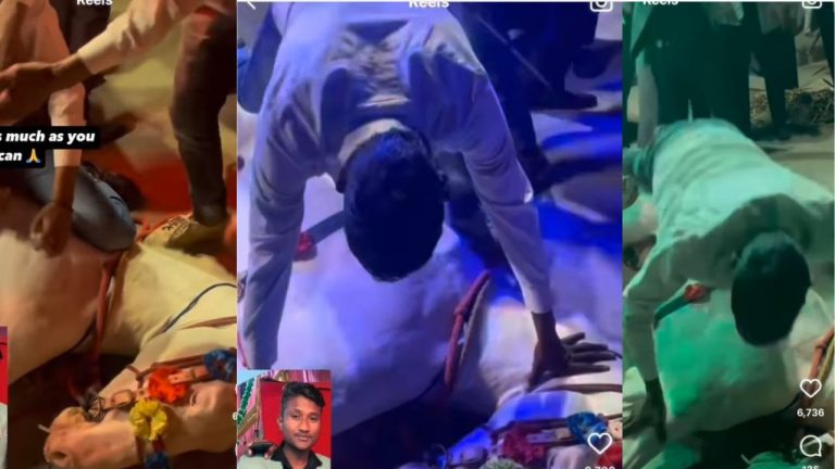 Harassing On Horse: పెళ్లి ఊరేగింపులో గుర్రంపై దారుణం.. సిగరెట్ తాగించి ఆపై?