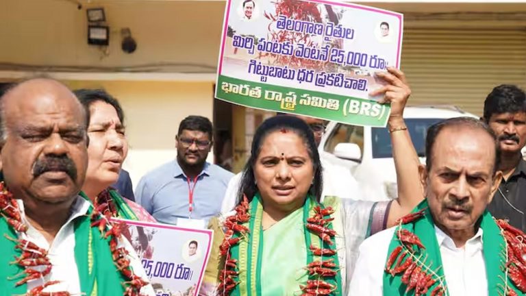 BRS: మెడలో మిర్చి దండలు వేసుకొని.. కౌన్సిల్ ఆవరణలో బీఆర్ఎస్ ఎమ్మెల్సీల వినూత్న నిరసన