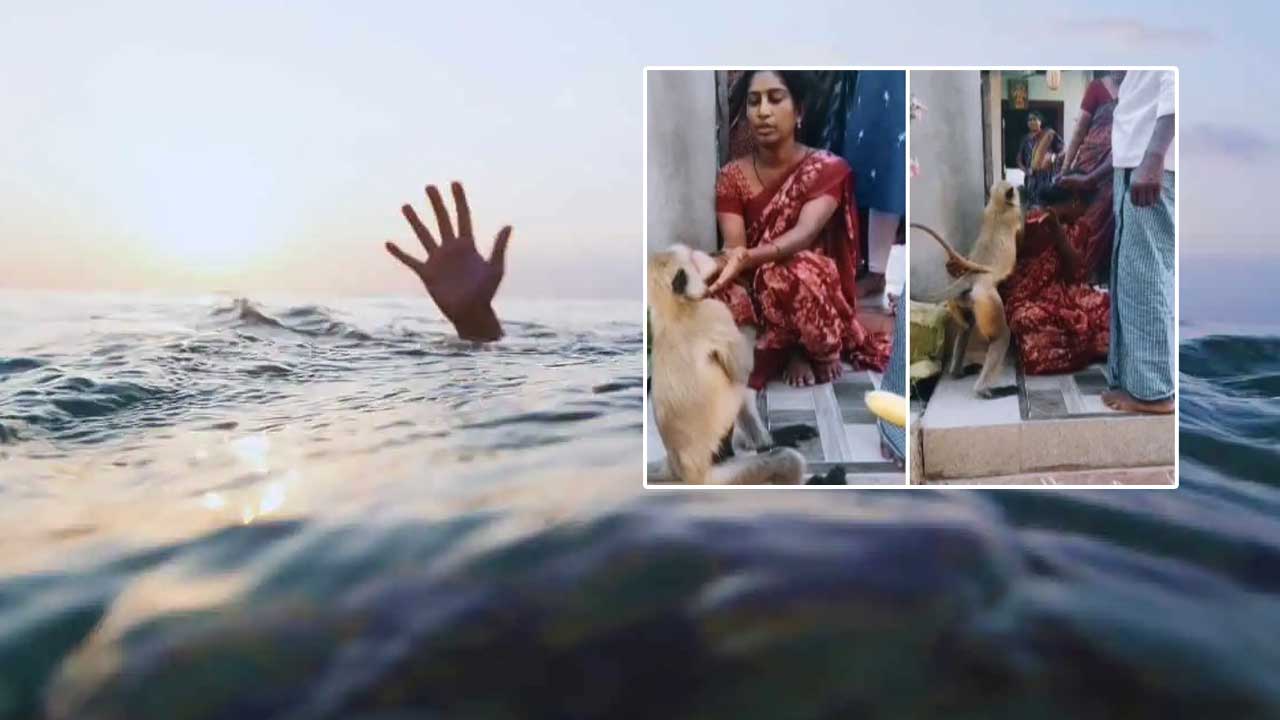 Viral News: కొడుకు మరణించాడని రోదిస్తున్న తల్లి.. ఓదార్చిన వానరం..!