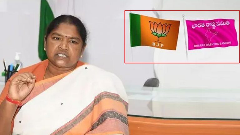 Minister Seethakka: బీజేపీ బీసీ వ్యతిరేక పార్టీ.. బీఆర్ఎస్ ముదిరాజ్⁬లకు టికెట్ ఇవ్వలేదు..