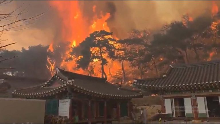 South Korea: దక్షిణకొరియాలో భారీ కార్చిచ్చు.. 18 మంది మృతి