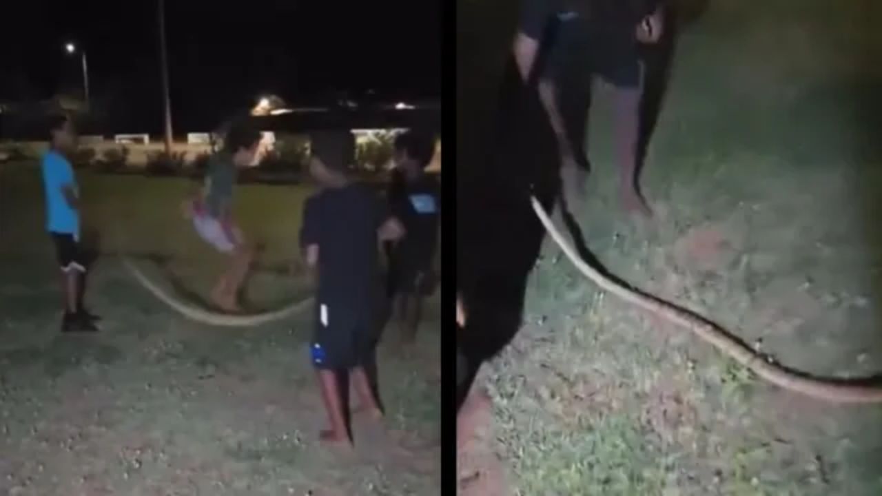 Viral Video: ఎవర్రా మీరంతా! పాముతో స్కిప్పింగ్ చేయడమేంటయ్య?