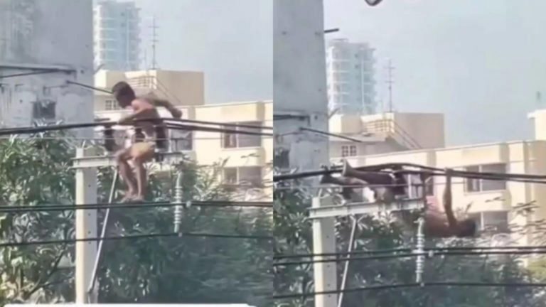 Viral Video: ఎవడ్రా నువ్వు.. ఇంత ట్యాలెంటెడ్‌గా ఉన్నావు.. ఏకంగా కరెంట్ తీగల మీదే మొదలు పెట్టేశావ్
