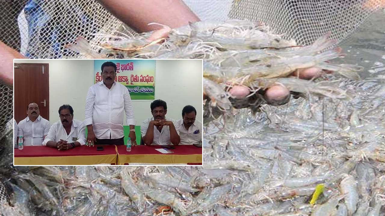 Aqua Crop Holiday: ప్రాసెసింగ్ యూనిట్లపై ఆగ్రహం.. రొయ్యల రైతులు క్రాప్ హాలిడే..