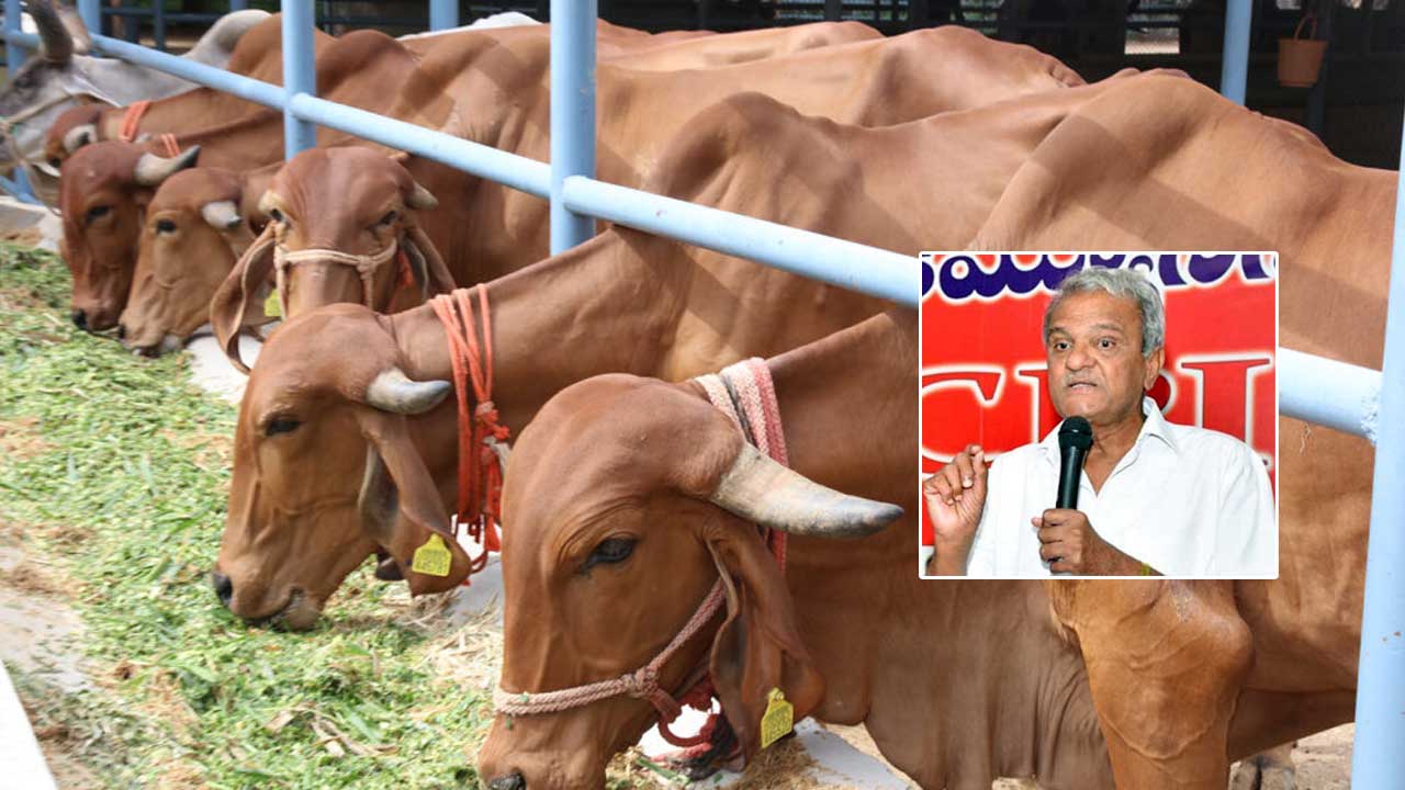 CPI Narayana: టీటీడీ ఎస్వీ గోశాలను పరిశీలించిన సీపీఐ నారాయణ.. కీలక వ్యాఖ్యలు..