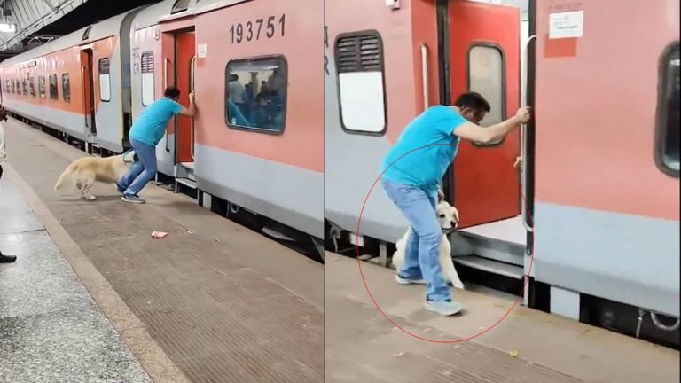 Dog Video: రన్నింగ్ ట్రైన్ ఎక్కుతుండగా పట్టాలపై పడ్డ డాగ్.. చివరికిలా..!