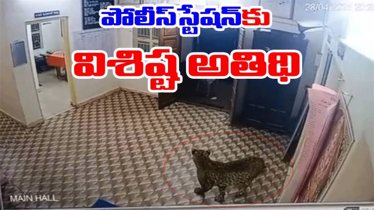 Tamil Nadu: పోలీస్‌స్టేషన్‌కు స్పెషల్ గెస్ట్.. కలియ తిరిగి ఏం చేసిందంటే..!