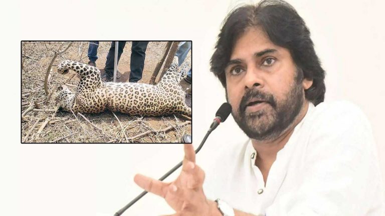 Deputy CM Pawan Kalyan: వేటగాళ్ల ఉచ్చులో పడి చిరుత మృతి.. పవన్‌ కల్యాణ్‌ కీలక ఆదేశాలు..