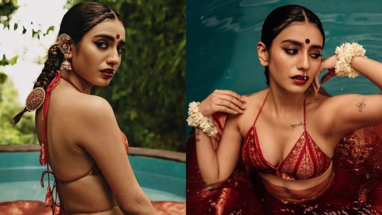 Priya Prakash Varrier : మొత్తానికి హిట్టు రుచి చూసిన ప్రియా ప్రకాష్