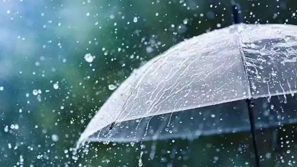 Rain