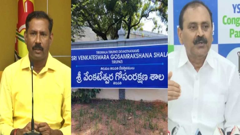 TDP vs YSRCP: టెంపుల్‌ సిటీలో పొలిటికల్‌ హీట్‌.. గోశాలలో తేల్చుకుందాం రా..!