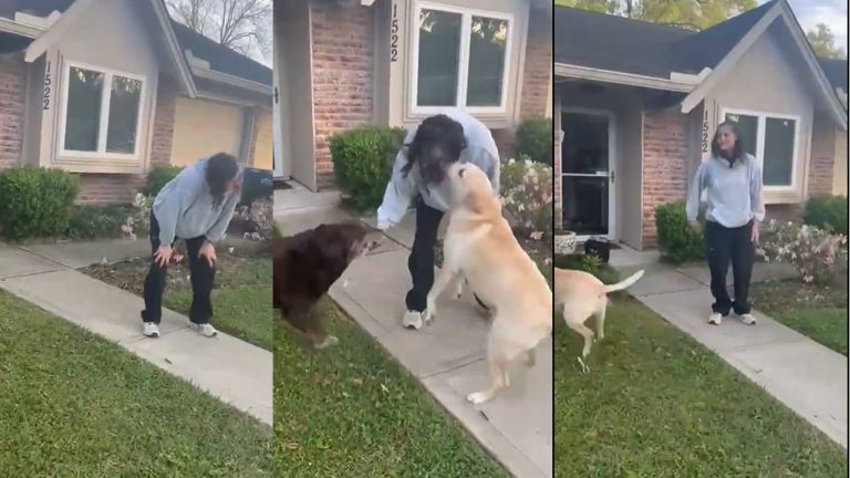 Sunita Williams: సునీతా విలియమ్స్ తాజా దృశ్యాలు వైరల్.. మస్క్ రియాక్షన్ ఇదే!