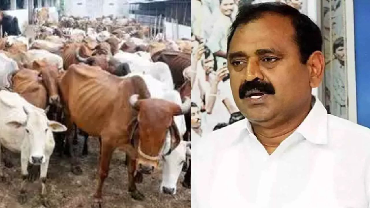 Bhumana Karunakar Reddy: గోశాలకు వెళ్లేందుకు భూమనకు పోలీసుల అనుమతి!