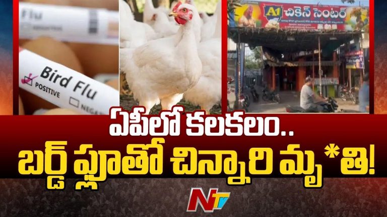 Bird Flu Death in AP: ఏపీలో బర్డ్ ఫ్లూ కలకలం.. రెండేళ్ల చిన్నారి మృతి