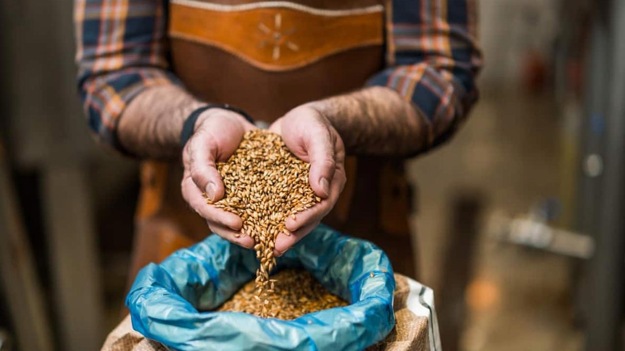 Fake Seeds : పశువుల దాణా ముసుగులో నకిలీ విత్తనాల దందా..