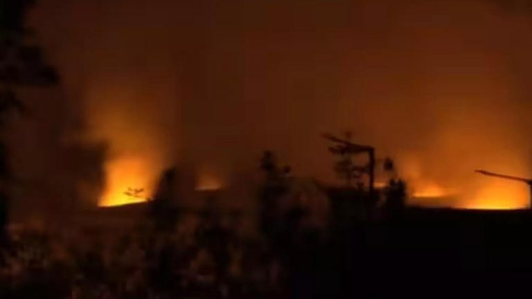 Yadadri Bhuvanagiri: ప్రీమియర్ ఎక్స్ ఫ్లోజివ్ కంపెనీలో పేలుడు.. ముగ్గురు మృతి