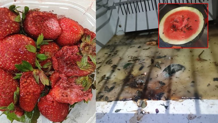 Food Safety : అమీర్‌పేట్‌లో జ్యూసులు తాగుతున్నారా..? జర జాగ్రత్త.. తరువాత మీ ఇష్టం..!