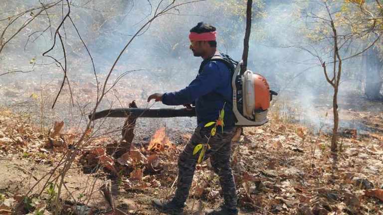 Forest Fire : కాళేశ్వరం అడవుల్లో కార్చిచ్చు హాహాకారం.. వనమూల్యానికి పెద్ద నష్టం