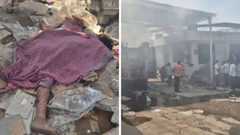 Gujarat: బాణసంచా కర్మాగారంలో పేలుడు.. 17 మంది మృతి