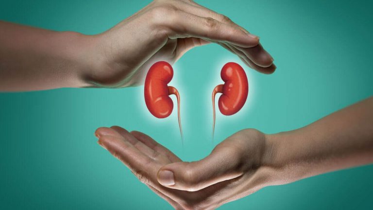 Kidney Health: ఈ పద్ధతులు మార్చుకోకపోతే కిడ్నీలు మార్చుకోవాల్సిందే!