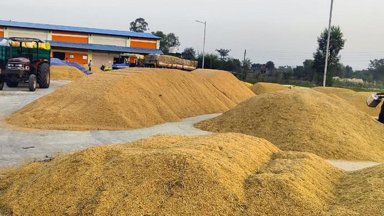 Paddy Procurement : నిజామాబాద్‌లో ధాన్యం దిబ్బలు.. రైతుల కన్నీళ్లు.. లారీల మాయాజాలంలో అన్నదాత అగచాట్లు..!