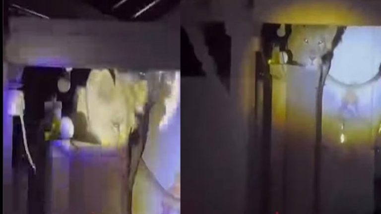 Viral Video: అర్ధరాత్రి వంటింటి గోడపై ప్రత్యక్షమైన మృగరాజు!