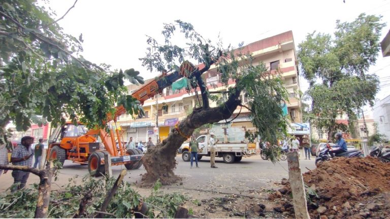 Secunderabad: శభాష్ ట్రాఫిక్ పోలీస్.. రోడ్డుపై ఉన్న భారీ వృక్షానికి ప్రాణప్రతిష్ట..