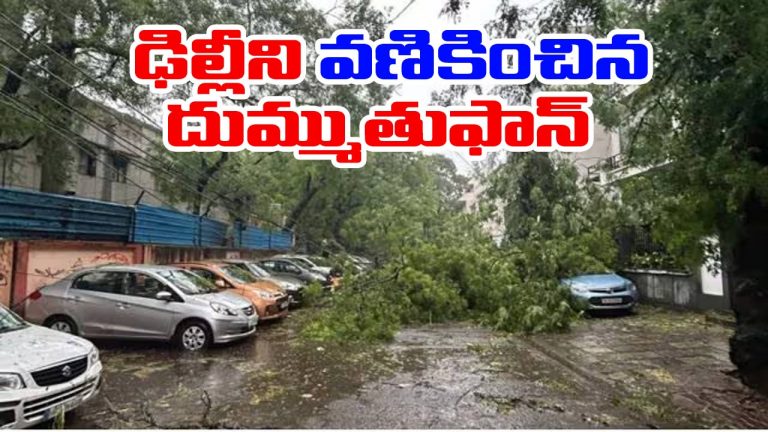 Delhi Rain: ఢిల్లీలో వర్ష బీభత్సం.. నలుగురు మృతి