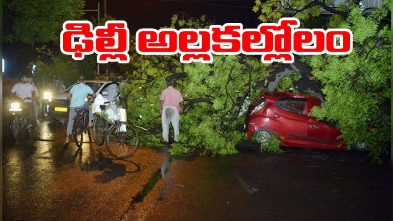 Delhi: ఢిల్లీని హడలెత్తించిన వడగండ్ల వాన.. నలుగురు మృతి