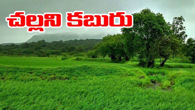 Monsoon: వాన కబురు.. 2 రోజుల్లో కేరళను తాకనున్న నైరుతి రుతుపవనాలు