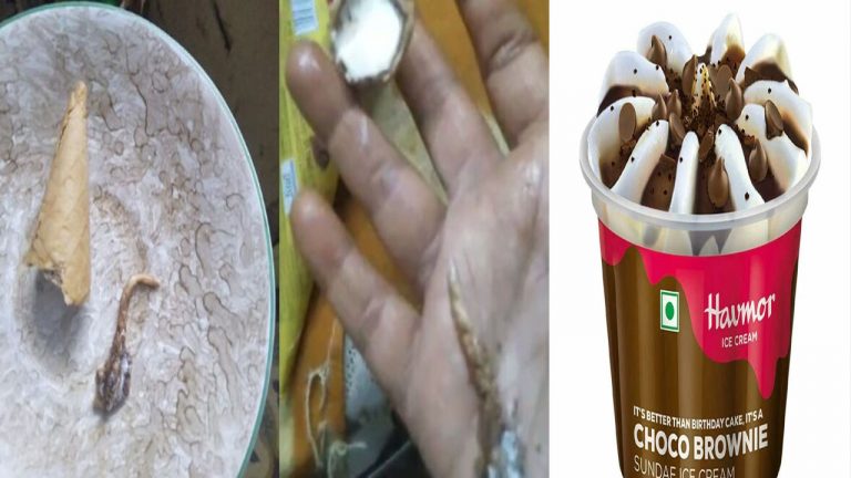 Lizard In Ice cream: ఐస్ క్రీంలో బల్లి తోక.. దుకాణం సీజ్, కంపెనీకి రూ.50,000 జరిమానా..!