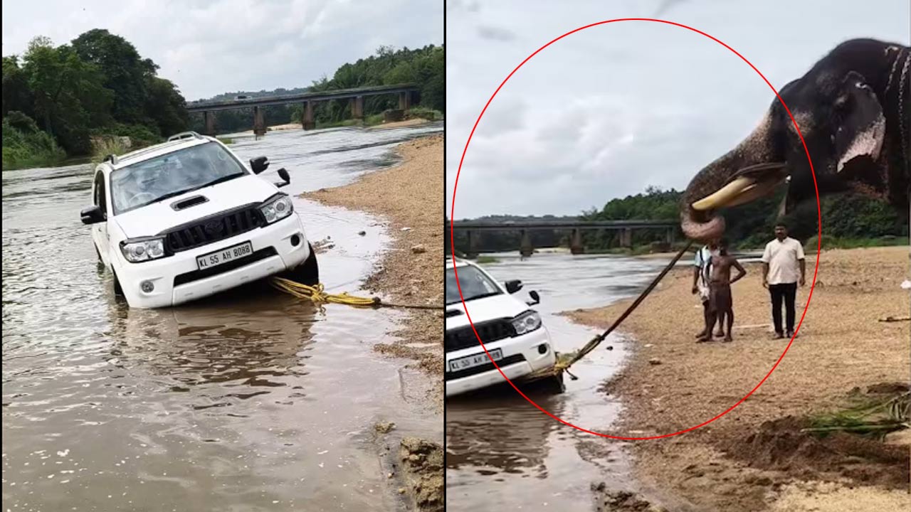 Kerala: నదిలో చిక్కుకున్న కారును బయటకు లాగిన ఏనుగు.. వీడియో వైరల్