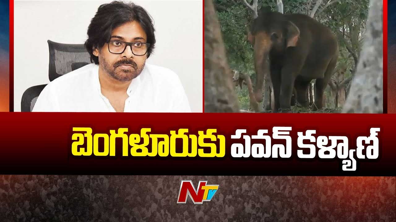 Deputy CM Pawan Kalyan: ఫలించిన డిప్యూటీ సీఎం పవన్‌ కల్యాణ్‌ కృషి.. నేడు రాష్ట్రానికి కుంకీ ఏనుగులు
