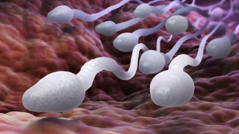 Sperm Count: వీర్యకణాల సమస్యతో ఇబ్బందులా..? కారణాలు ఇవేకావొచ్చు.. జాగ్రత్త సుమీ!